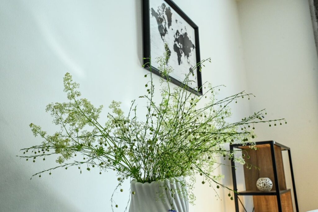 Psychotherapie Jaworska